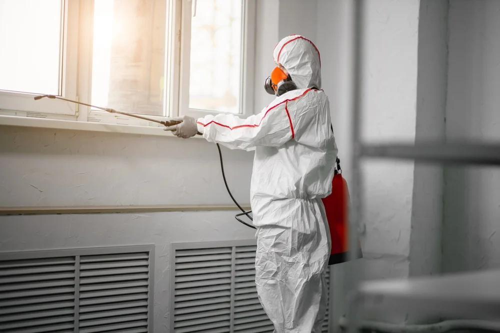 Professional mold remediation services in Farmington, UT